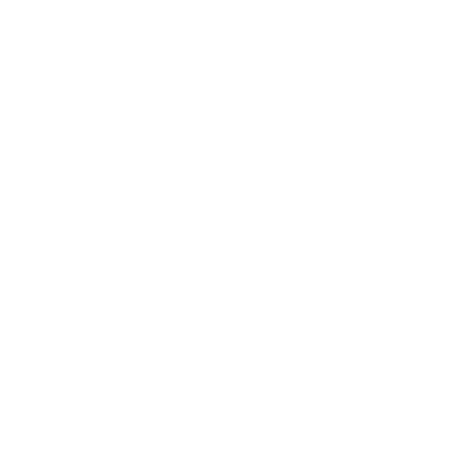 Logo Instagram blanc